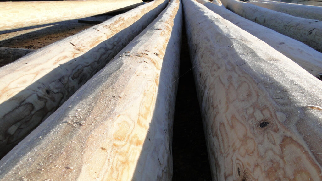 4e267bbea4d6957686a5d235830dcd3c