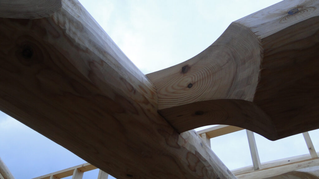 aa8fda8890b0a3cf7133c6b7f38dd651