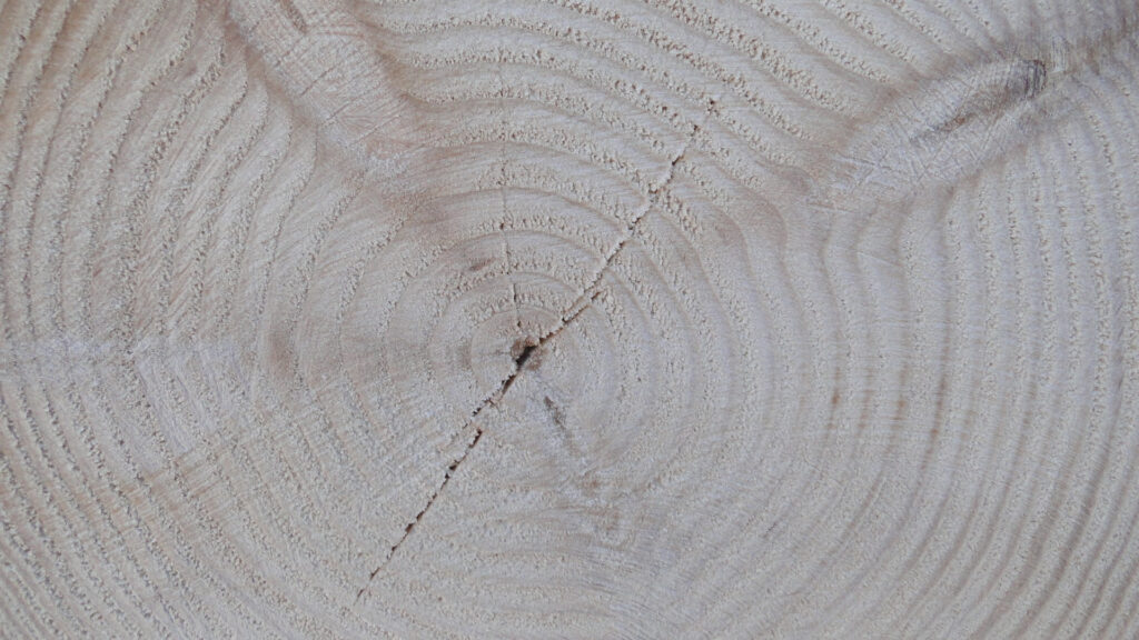 dc5b75966b288403b491cd90efd84388