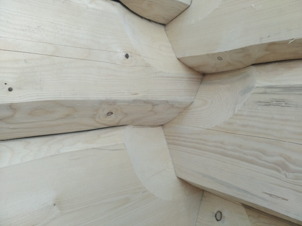 e9d75366b35b9fb7dadccaad29809956